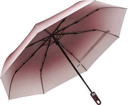 BARONESS Umbrella